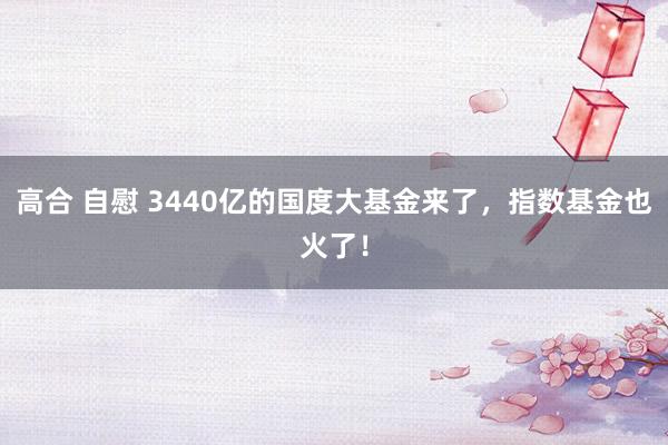 高合 自慰 3440亿的国度大基金来了,指数基金也火了!