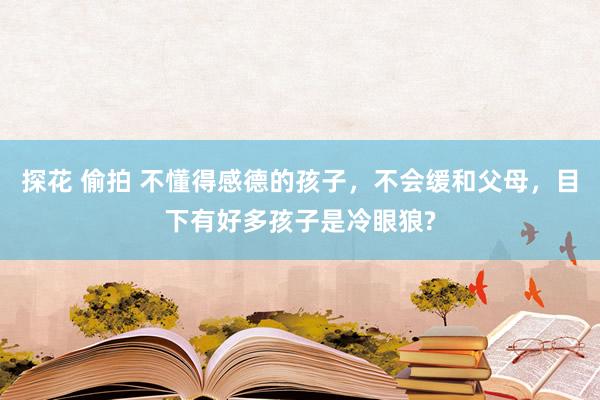 探花 偷拍 不懂得感德的孩子,不会缓和父母,目下有好多孩子是冷眼狼?