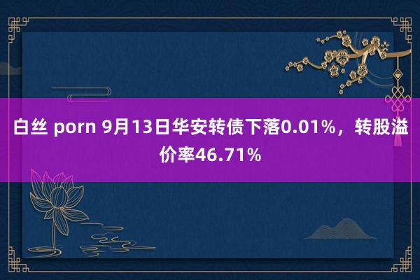 白丝 porn 9月13日华安转债下落0.01%,转股溢价率46.71%