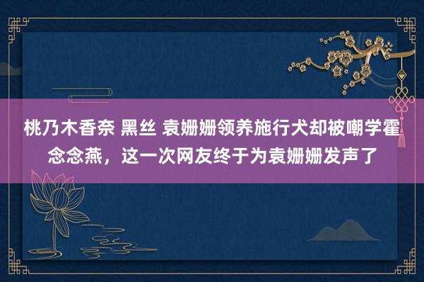桃乃木香奈 黑丝 袁姗姗领养施行犬却被嘲学霍念念燕,这一次网友终于为袁姗姗发声了