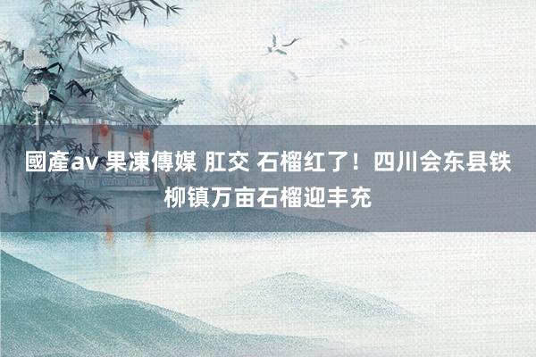 國產av 果凍傳媒 肛交 石榴红了!四川会东县铁柳镇万亩石榴迎丰充