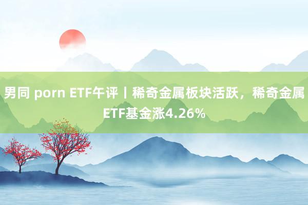男同 porn ETF午评丨稀奇金属板块活跃,稀奇金属ETF基金涨4.26%
