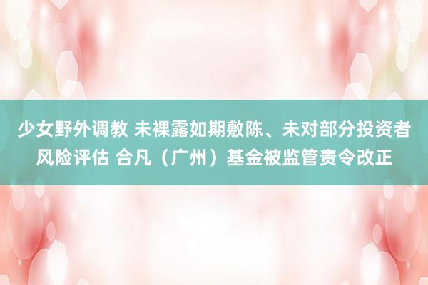 少女野外调教 未裸露如期敷陈、未对部分投资者风险评估 合凡(广州)基金被监管责令改正