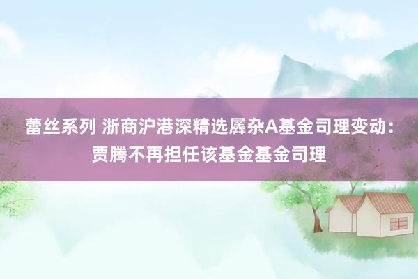 蕾丝系列 浙商沪港深精选羼杂A基金司理变动：贾腾不再担任该基金基金司理