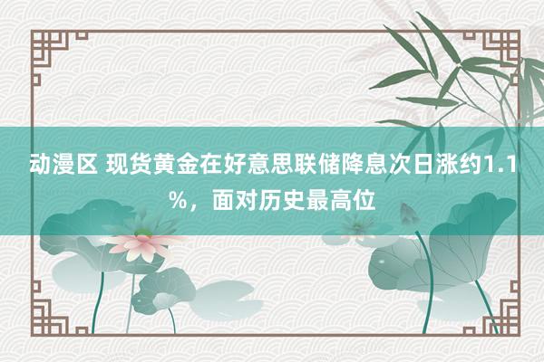 动漫区 现货黄金在好意思联储降息次日涨约1.1%,面对历史最高位