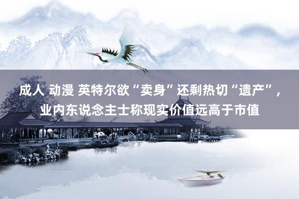 成人 动漫 英特尔欲“卖身”还剩热切“遗产”,业内东说念主士称现实价值远高于市值