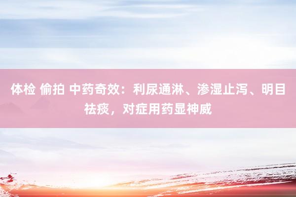 体检 偷拍 中药奇效:利尿通淋、渗湿止泻、明目祛痰,对症用药显神威