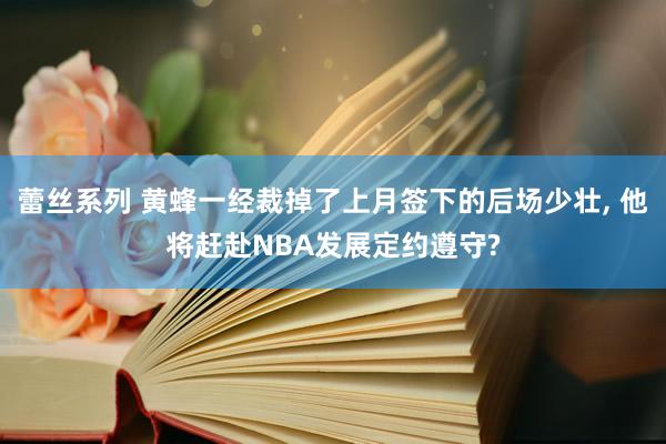 蕾丝系列 黄蜂一经裁掉了上月签下的后场少壮, 他将赶赴NBA发展定约遵守?