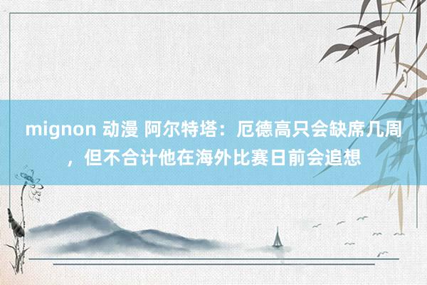 mignon 动漫 阿尔特塔:厄德高只会缺席几周,但不合计他在海外比赛日前会追想