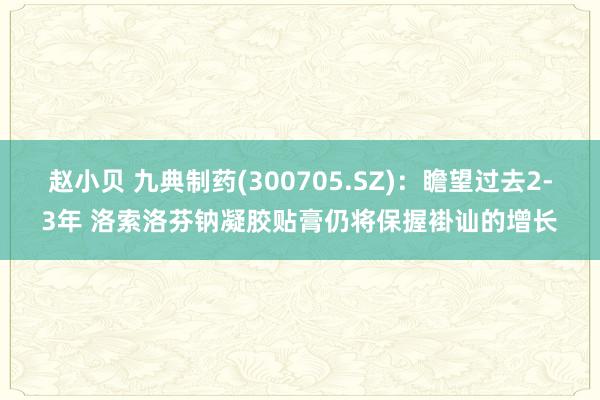 赵小贝 九典制药(300705.SZ):瞻望过去2-3年 洛索洛芬钠凝胶贴膏仍将保握褂讪的增长