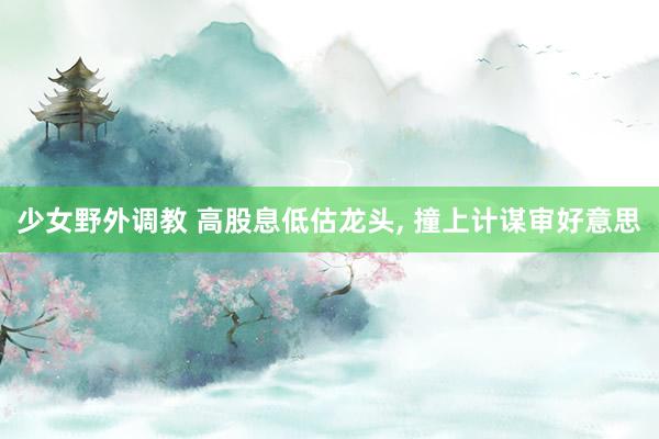 少女野外调教 高股息低估龙头, 撞上计谋审好意思