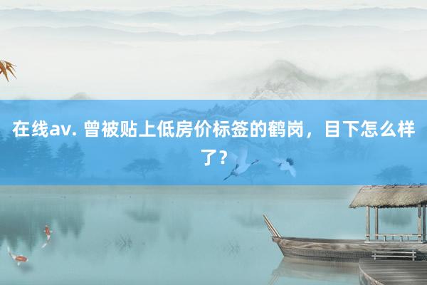 在线av. 曾被贴上低房价标签的鹤岗,目下怎么样了?