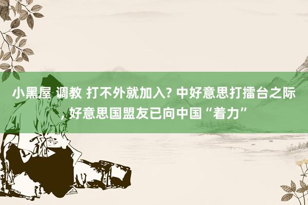 小黑屋 调教 打不外就加入? 中好意思打擂台之际, 好意思国盟友已向中国“着力”