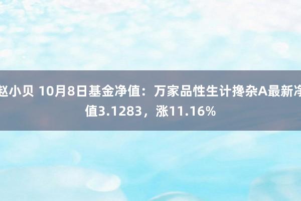 赵小贝 10月8日基金净值:万家品性生计搀杂A最新净值3.1283,涨11.16%