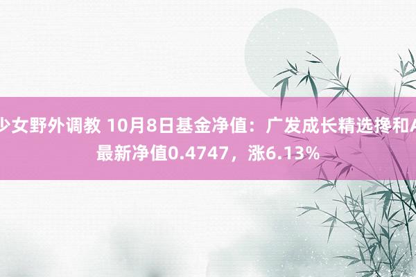 少女野外调教 10月8日基金净值:广发成长精选搀和A最新净值0.4747,涨6.13%