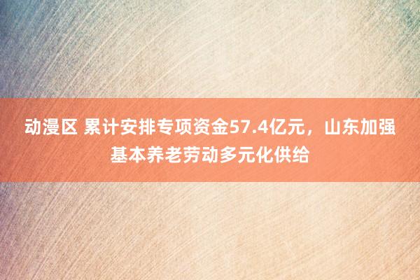 动漫区 累计安排专项资金57.4亿元,山东加强基本养老劳动多元化供给