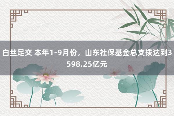 白丝足交 本年1-9月份,山东社保基金总支拨达到3598.25亿元