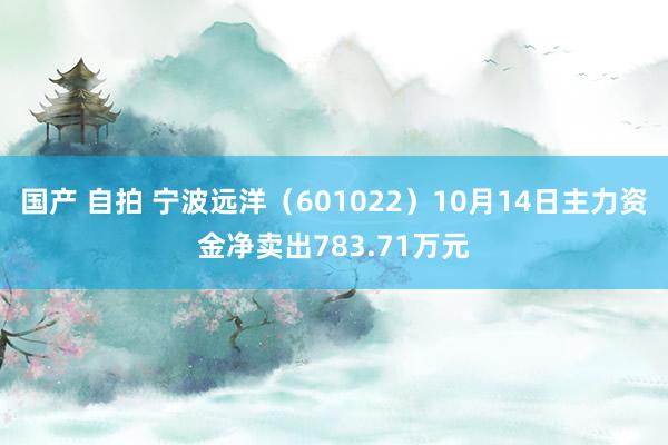 国产 自拍 宁波远洋（601022）10月14日主力资金净卖出783.71万元