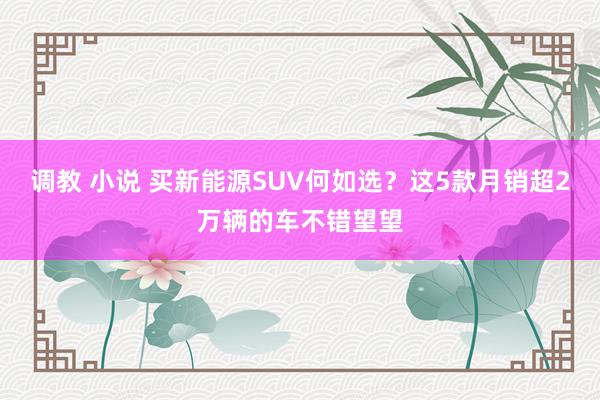 调教 小说 买新能源SUV何如选?这5款月销超2万辆的车不错望望