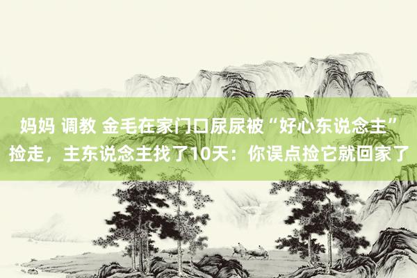 妈妈 调教 金毛在家门口尿尿被“好心东说念主”捡走,主东说念主找了10天:你误点捡它就回家了