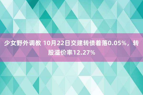 少女野外调教 10月22日交建转债着落0.05%，转股溢价率12.27%