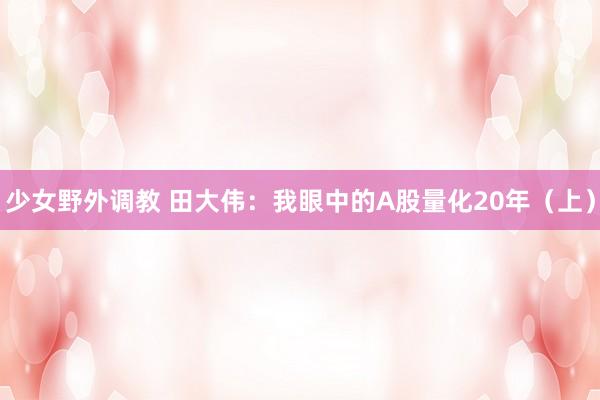 少女野外调教 田大伟:我眼中的A股量化20年(上)