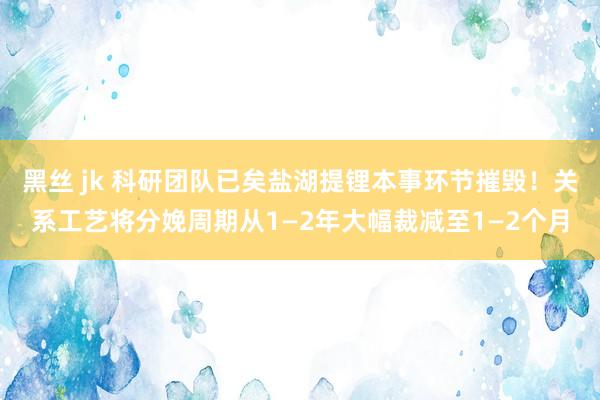 黑丝 jk 科研团队已矣盐湖提锂本事环节摧毁!关系工艺将分娩周期从1—2年大幅裁减至1—2个月