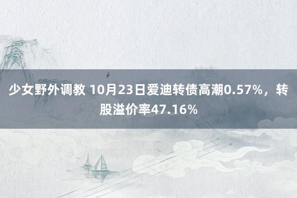 少女野外调教 10月23日爱迪转债高潮0.57%,转股溢价率47.16%