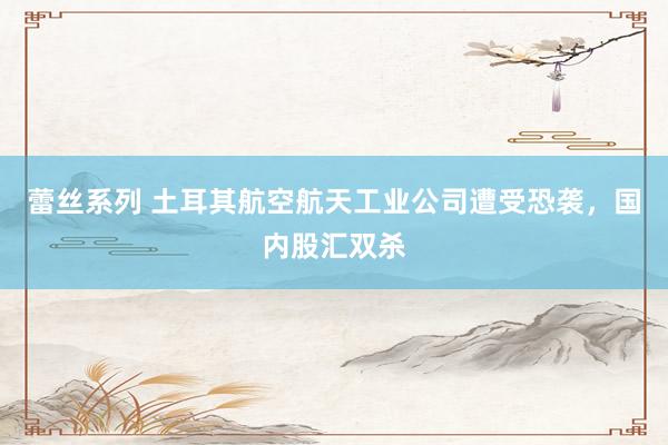 蕾丝系列 土耳其航空航天工业公司遭受恐袭,国内股汇双杀
