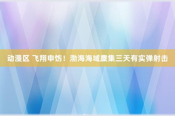 动漫区 飞翔申饬！渤海海域麇集三天有实弹射击
