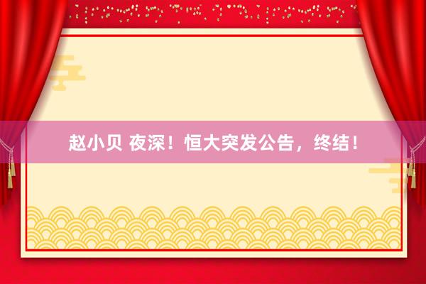 赵小贝 夜深!恒大突发公告,终结!