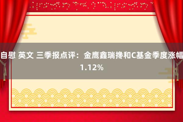 自慰 英文 三季报点评:金鹰鑫瑞搀和C基金季度涨幅1.12%