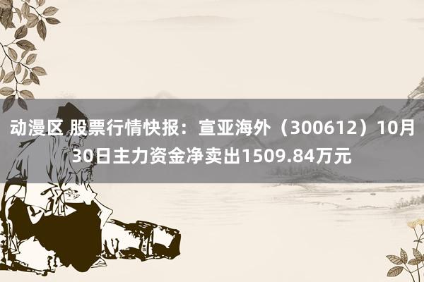 动漫区 股票行情快报:宣亚海外(300612)10月30日主力资金净卖出1509.84万元