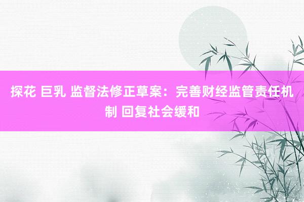 探花 巨乳 监督法修正草案:完善财经监管责任机制 回复社会缓和