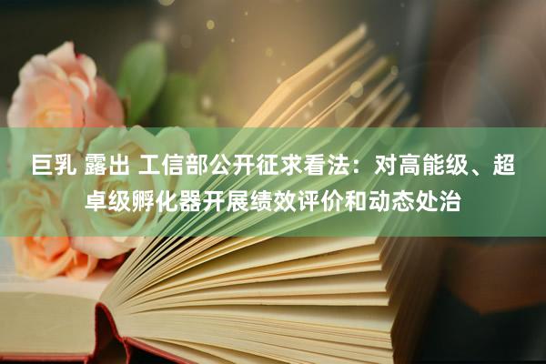 巨乳 露出 工信部公开征求看法：对高能级、超卓级孵化器开展绩效评价和动态处治
