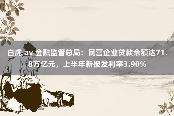 白虎 av 金融监管总局:民营企业贷款余额达71.8万亿元,上半年新披发利率3.90%