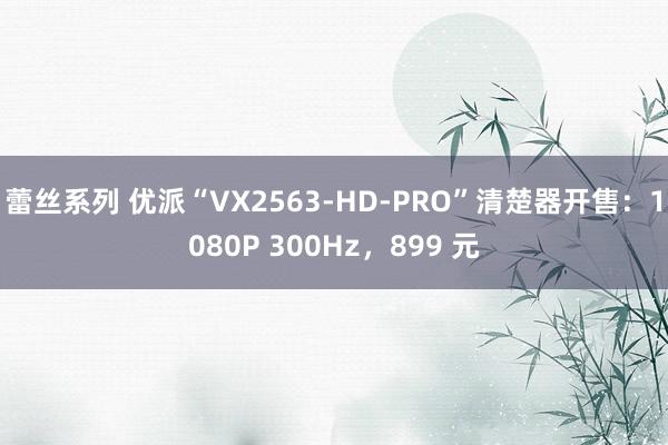 蕾丝系列 优派“VX2563-HD-PRO”清楚器开售：1080P 300Hz，899 元