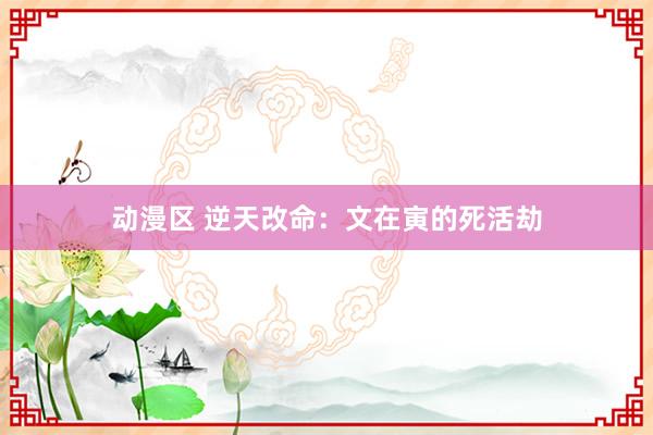 动漫区 逆天改命:文在寅的死活劫