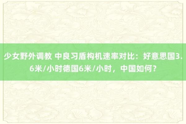 少女野外调教 中良习盾构机速率对比:好意思国3.6米/小时德国6米/小时,中国如何?