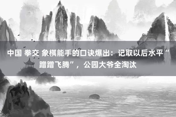 中国 拳交 象棋能手的口诀爆出:记取以后水平“蹭蹭飞腾”,公园大爷全淘汰