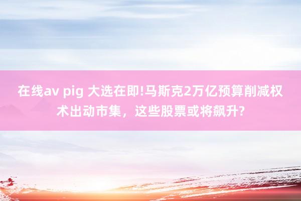 在线av pig 大选在即!马斯克2万亿预算削减权术出动市集，这些股票或将飙升?