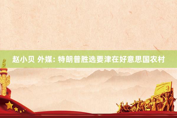 赵小贝 外媒: 特朗普胜选要津在好意思国农村