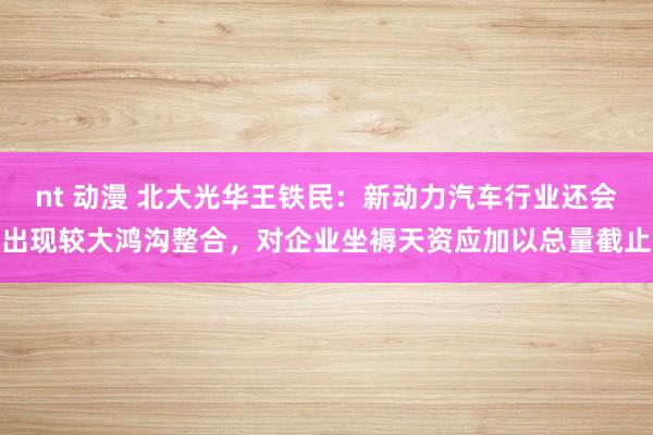 nt 动漫 北大光华王铁民:新动力汽车行业还会出现较大鸿沟整合,对企业坐褥天资应加以总量截止