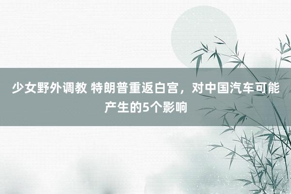 少女野外调教 特朗普重返白宫,对中国汽车可能产生的5个影响