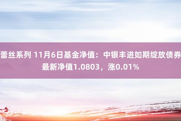 蕾丝系列 11月6日基金净值:中银丰进如期绽放债券最新净值1.0803,涨0.01%