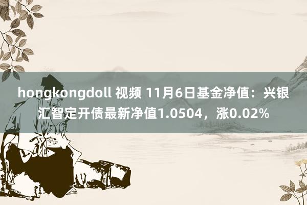 hongkongdoll 视频 11月6日基金净值:兴银汇智定开债最新净值1.0504,涨0.02%