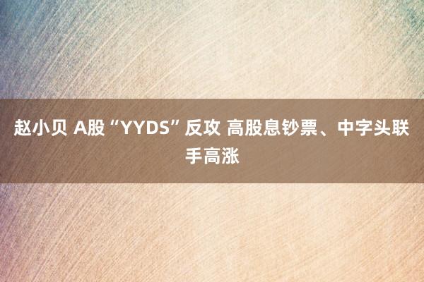 赵小贝 A股“YYDS”反攻 高股息钞票、中字头联手高涨