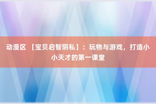 动漫区 【宝贝启智阴私】:玩物与游戏,打造小小天才的第一课堂
