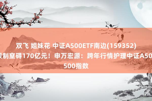 双飞 姐妹花 中证A500ETF南边(159352)最新限制窒碍170亿元!申万宏源:跨年行情护理中证A500指数