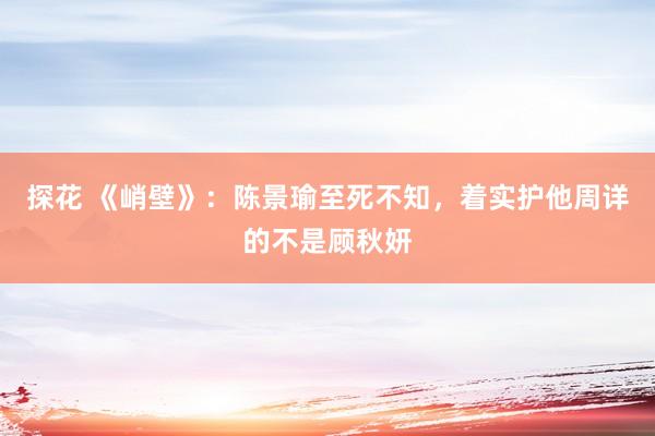 探花 《峭壁》:陈景瑜至死不知,着实护他周详的不是顾秋妍